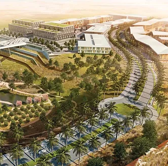 Palm Hills